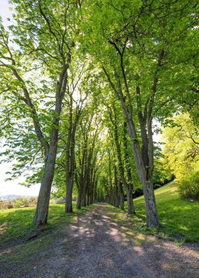 Urlaub In Schlossnaehe Artstetten Extérieur photo